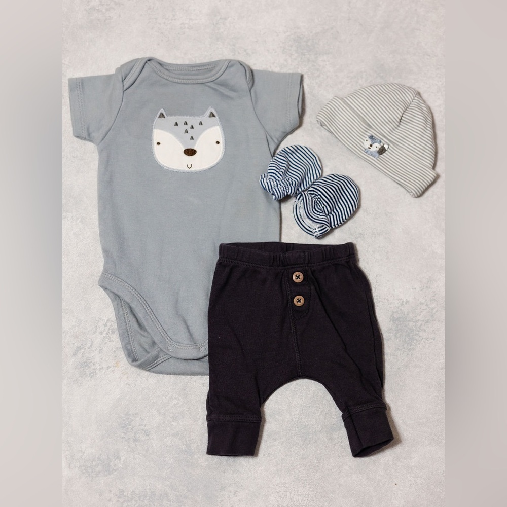 Bundled blue fox newborn outfit